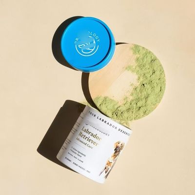 Food Grade Custom Printing Adorable Round Paper Box for Dog Cat PET Food Treats Snack Paper Tube Canister Pet Urns Scattering